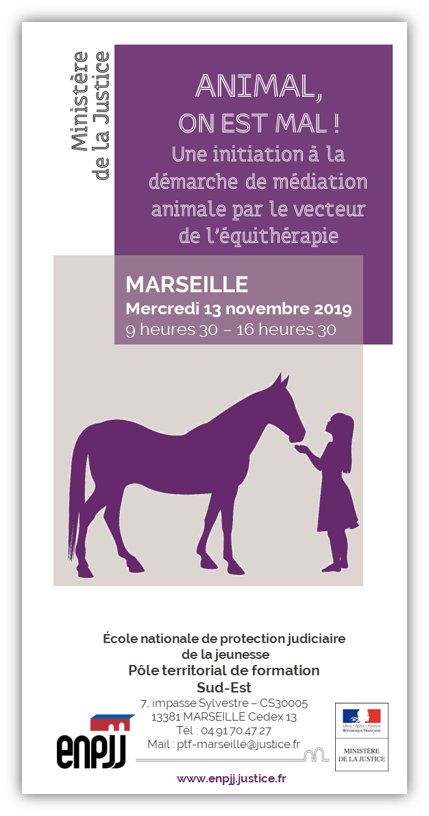 Le 13 novembre 2019, l'ENPJJ organise à Marseille une initiation à la démarche de médiation animale par le vecteur de l’équithérapie à destination exclusive des agents de la DIRPJJ Sud-Est.